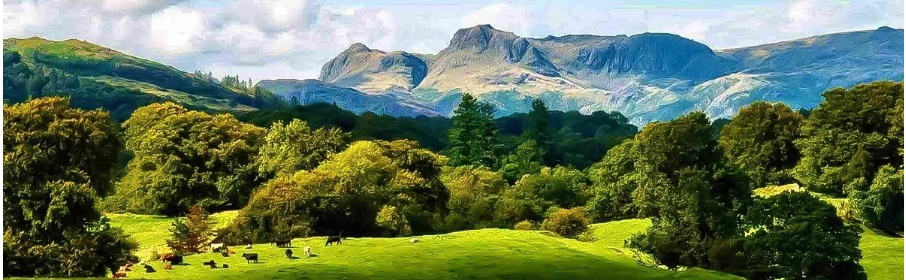 Why Nature Lovers Can’t Resist Lake District Tours UK?
